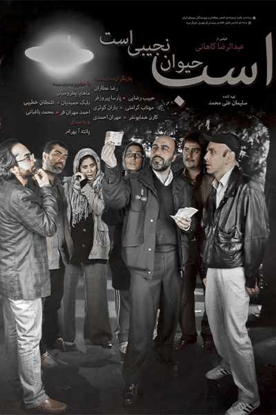 دانلود فیلم اسب حیوان نجیبی است
