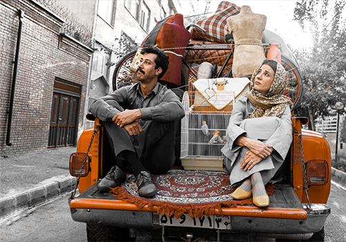 دانلود فیلم سال گربه